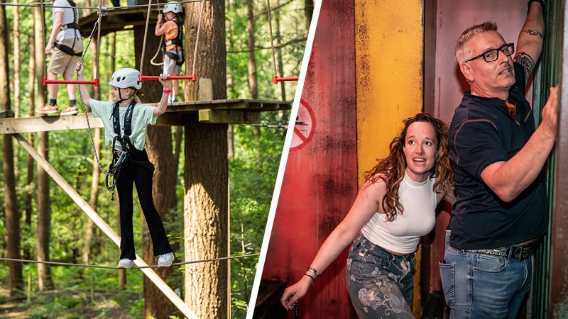 Activity / Day out High and free on the Veluwe