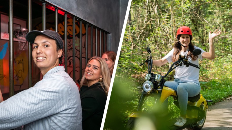 Activity / Day trip Tralies & Touring the Veluwe